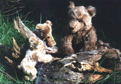 Braunbrin mit Jungen